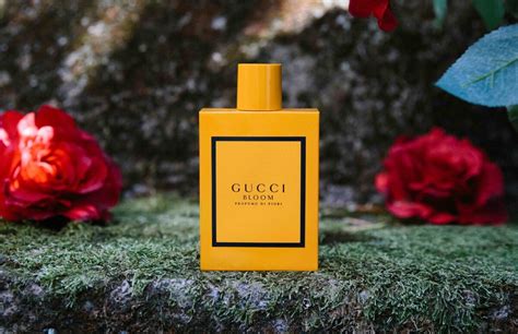 profumi femminili gucci|Gucci Bloom Profumo Di Fiori Gucci for women .